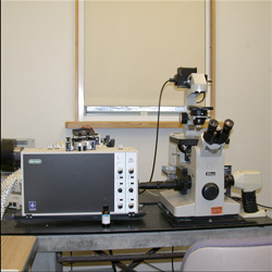 BioRad MRC-600 confocal microscope