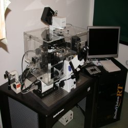 Delta Vision live-cell microscopy 
imaging systems