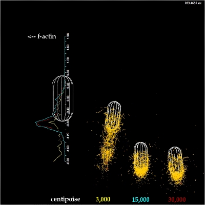 3 bugs at different viscosities 