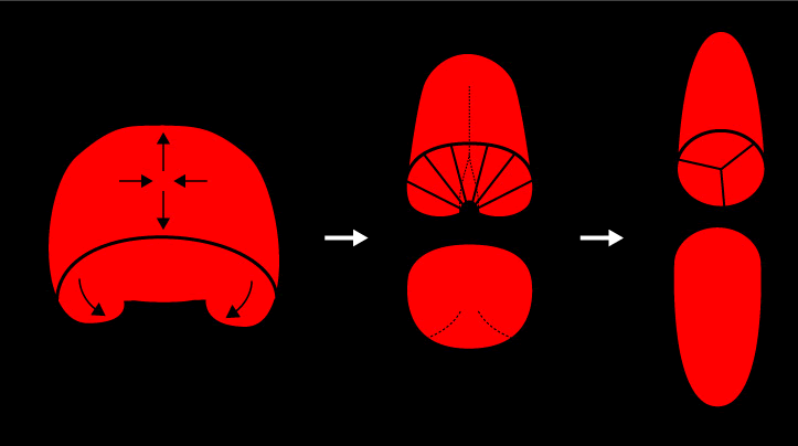 diagram, described below