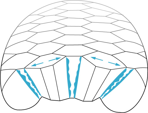 diagram, description follows