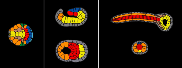 3 diagrams, description follows