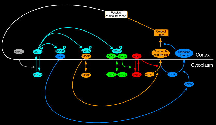 mweather pattern feedback loop